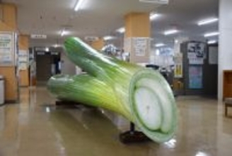 町役場に万博の巨大ネギ