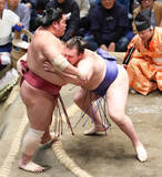 「安青錦の寄り切り」の画像1