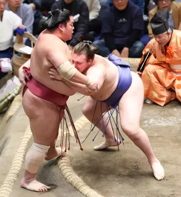 安青錦の寄り切り