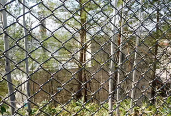 旭山動物園、営業開始を延期＝「焼却炉に遺体遺棄」と職員供述―北海道