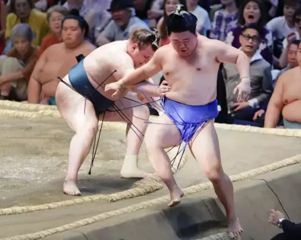 安青錦の寄り切り