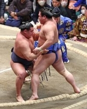 豊昇龍の寄り切り