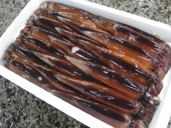 スルメイカ、半年ごとに漁獲枠＝小型船漁、不公平感に配慮―水産庁