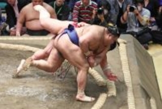 高安のかいなひねり