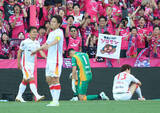 「肩を落とす名古屋イレブン　Ｊリーグ」の画像1