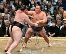 支度部屋＝大相撲春場所