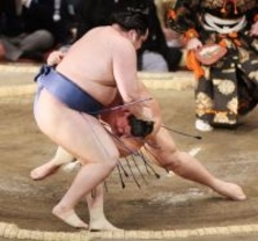 義ノ富士の寄り切り