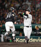 「空振り三振に倒れた中野　プロ野球」の画像1