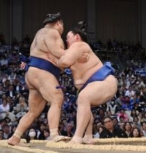 大の里の寄り切り