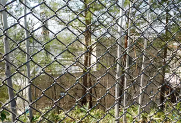 死体損壊容疑で逮捕＝「妻遺棄」供述の動物園職員―北海道警