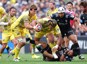 突進するタタフ