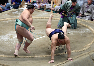 大の里と安青錦、首位並ぶ＝３敗で千秋楽相星決戦―大相撲秋場所１４日目