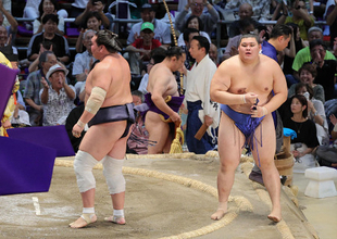 照ノ富士を破った大の里