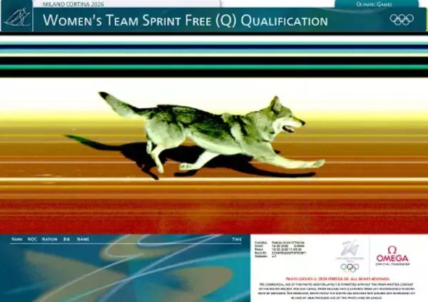 犬のゴールの瞬間　五輪