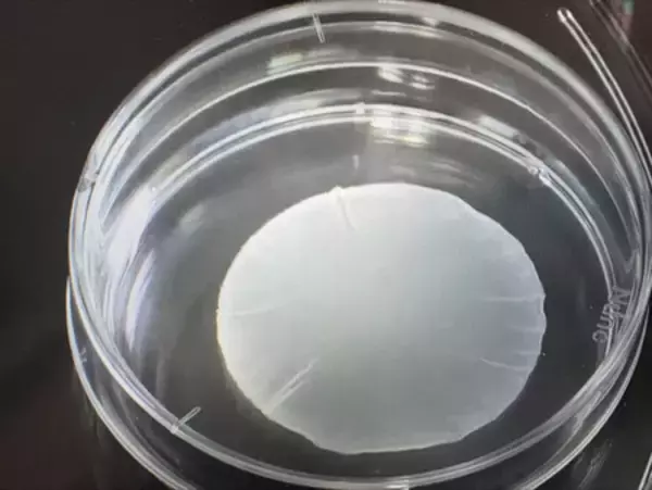 ｉＰＳ細胞由来製品を了承＝心疾患とパーキンソン病治療―承認なら世界初・厚労省部会