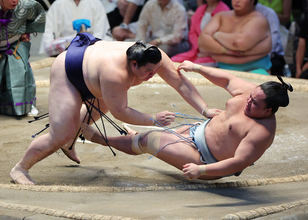 大の里の押し倒し