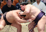 「義ノ富士、また横綱撃破＝大相撲名古屋場所」の画像1