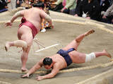 「横綱、大関陣が総崩れ＝１敗は霧島と阿炎―大相撲初場所８日目」の画像1
