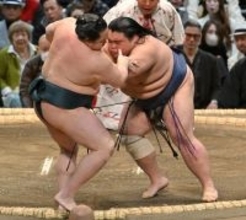 藤凌駕の押し出し