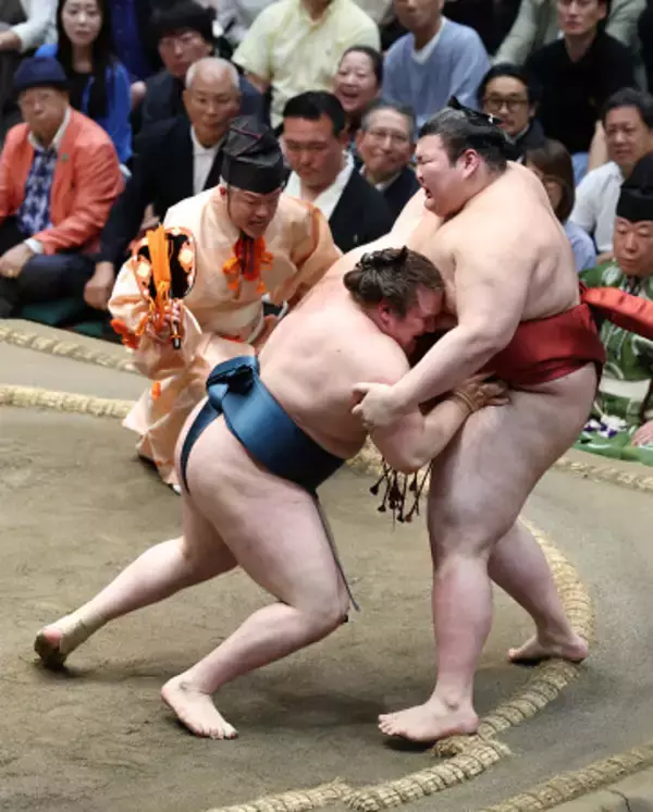 安青錦の寄り切り