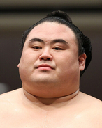 隆の勝が休場＝左足負傷、１カ月の加療―大相撲