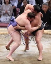 安青錦、我慢光る＝大相撲九州場所