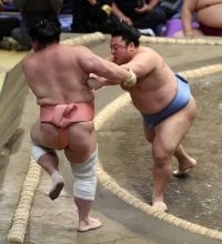 翔猿の押し出し