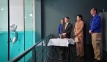 ラッコを視察される両陛下