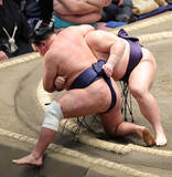 「横綱豊昇龍に土」の画像1