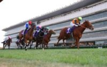 スターアニスが優勝＝競馬阪神ＪＦ
