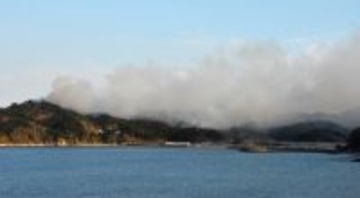 煙が立ち上る大槌町の山林