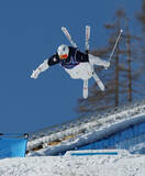 「準決勝の島川　五輪」の画像1