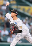 「力投する茨木　プロ野球」の画像1