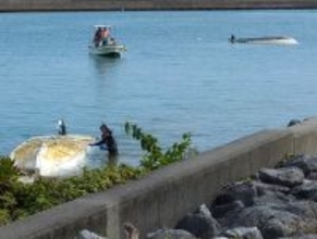 「尊い命守れず、重い責任」＝辺野古転覆、運航団体が謝罪声明―沖縄