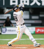 「山本祐のソロ　プロ野球」の画像1
