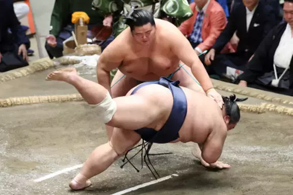 琴桜の肩すかし