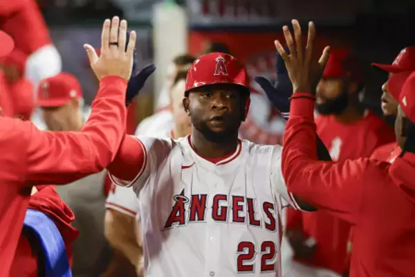 中日、大砲サノーを獲得　プロ野球