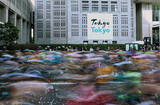 「スタートするランナー　東京マラソン」の画像1