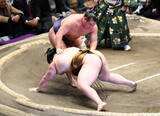 「豊昇龍、連敗止める＝大相撲初場所」の画像1