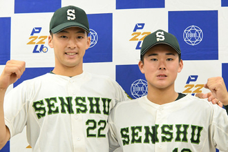 東都大学野球入れ替え戦