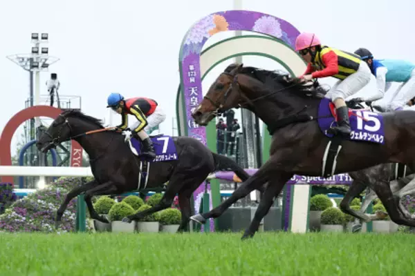 優勝したクロワデュノール