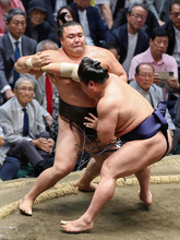 小結若隆景が優勝＝２５場所ぶり２度目―大相撲夏場所