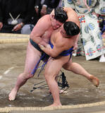 「時疾風の寄り切り」の画像1