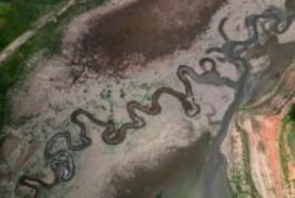 世界は「水破産」の時代に突入 国連大学が警鐘