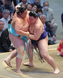 「大の里の寄り切り」の画像1
