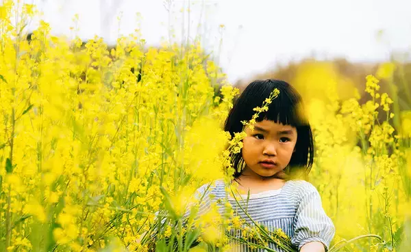 負のスパイラルが止まらない 児童虐待はなぜ起きるのか？
