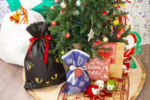 なにわ男子・長尾謙杜「駐車券をなくさない大人になりたい」