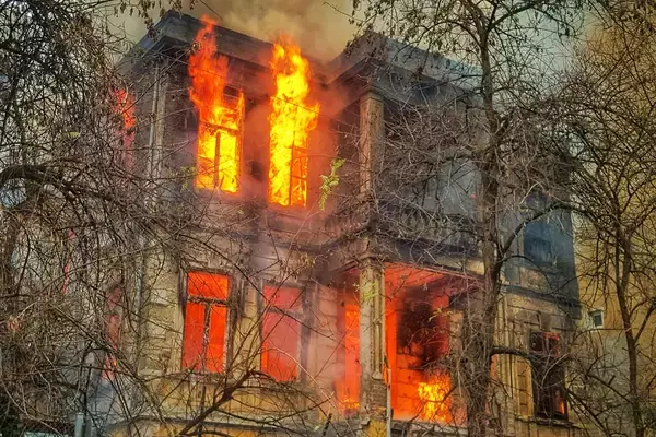 「「ママ起きて！」6歳少女、燃える自宅に飛び込み家族全員を救出」の画像