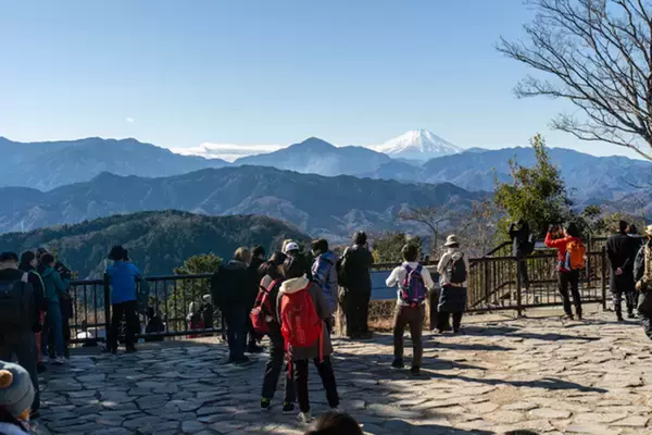 「クマに襲われた」は去年の3倍に！　遭難者数が過去最多　背景に「高齢初心者」の存在が