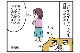 宇宙からやって来た!?【怒りの毛玉戦士はむまる】VS.はむまるは何者？（1）